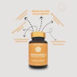 Burak Lokman Hekim Akkermansiam-S satın al, Akkermansiam-S faydaları nelerdir? Akkermansiam-S nasıl kullanılır?